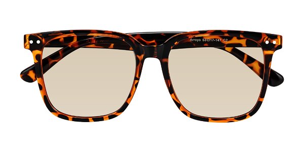 Front of Arroyo in Tortoise