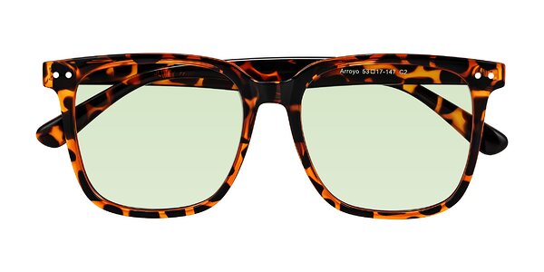 Front of Arroyo in Tortoise