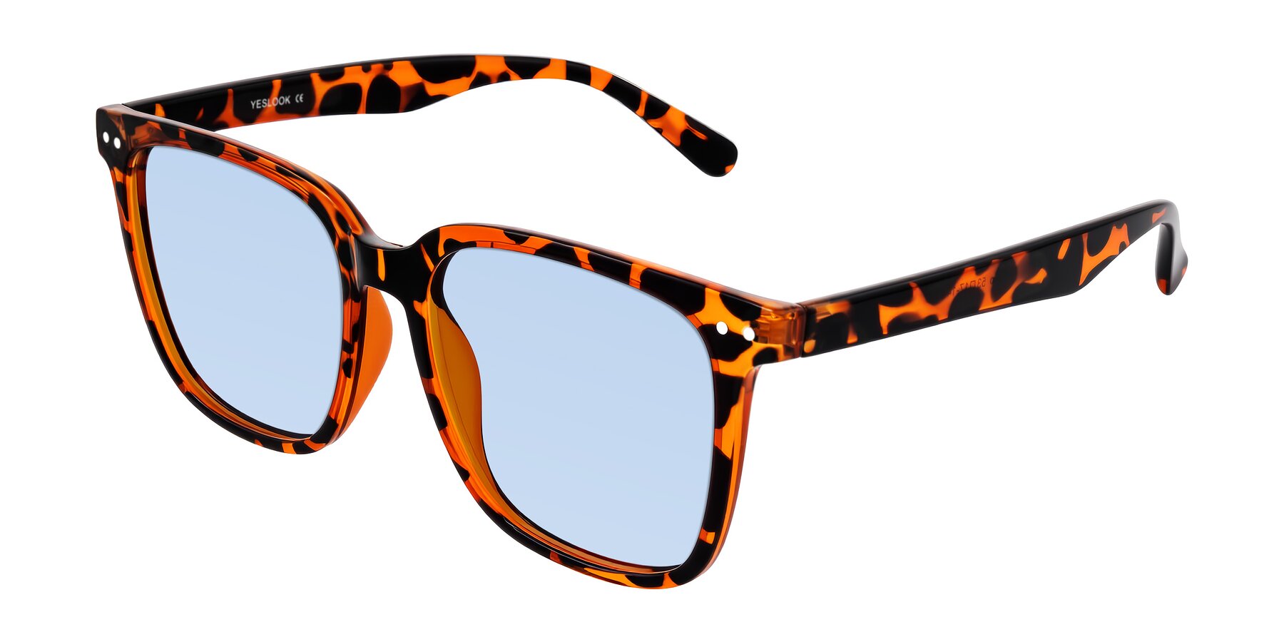 Angle of Arroyo in Tortoise with Light Blue Tinted Lenses