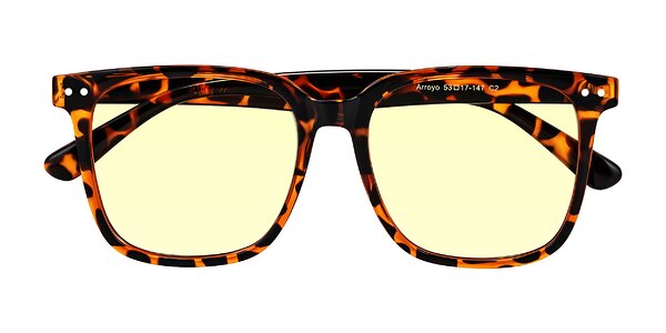Front of Arroyo in Tortoise