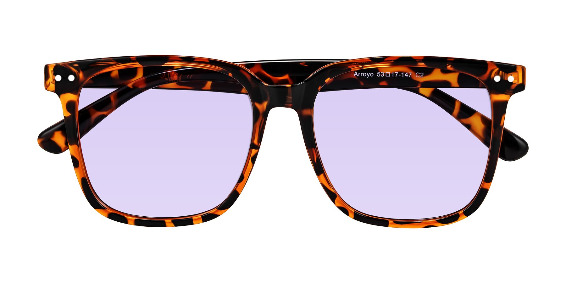 Folded Front of Arroyo in Tortoise with Light Purple Tinted Lenses