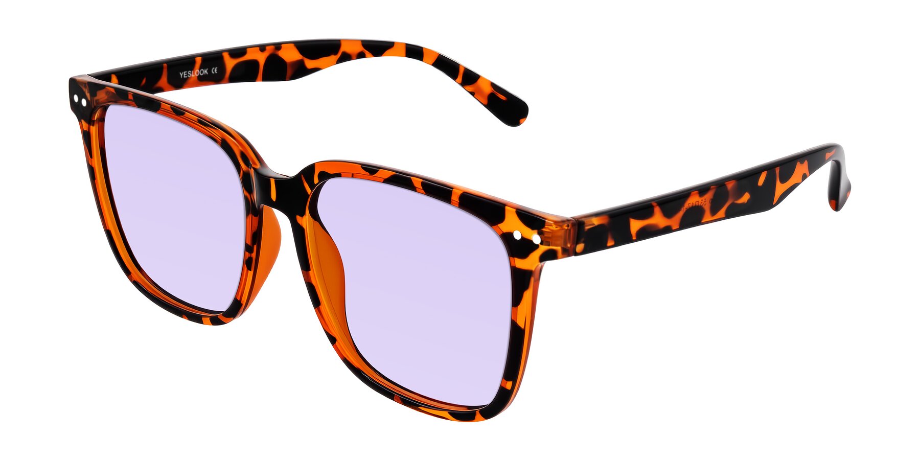 Angle of Arroyo in Tortoise with Light Purple Tinted Lenses