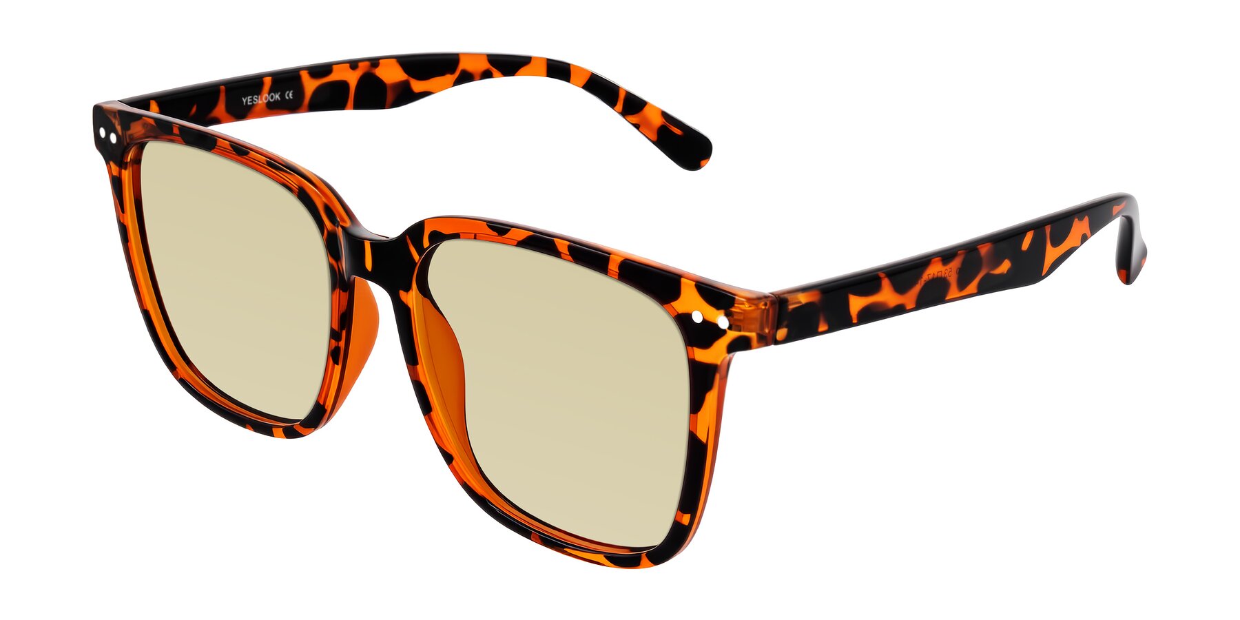 Angle of Arroyo in Tortoise with Light Champagne Tinted Lenses
