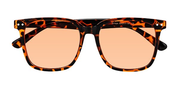 Front of Arroyo in Tortoise