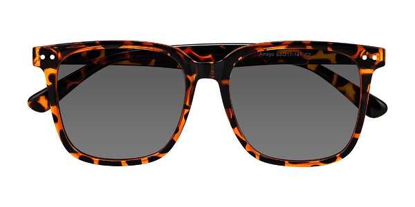 Front of Arroyo in Tortoise