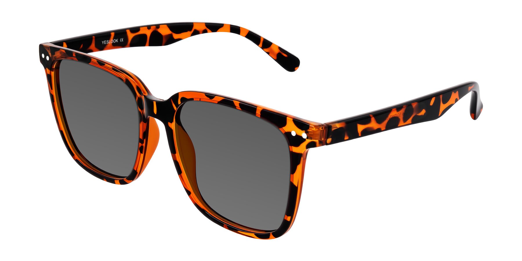 Angle of Arroyo in Tortoise with Medium Gray Tinted Lenses