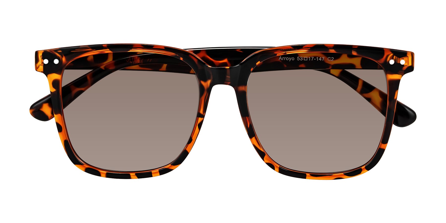 Folded Front of Arroyo in Tortoise with Medium Brown Tinted Lenses