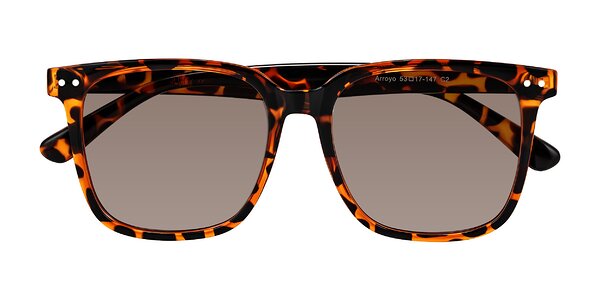 Front of Arroyo in Tortoise