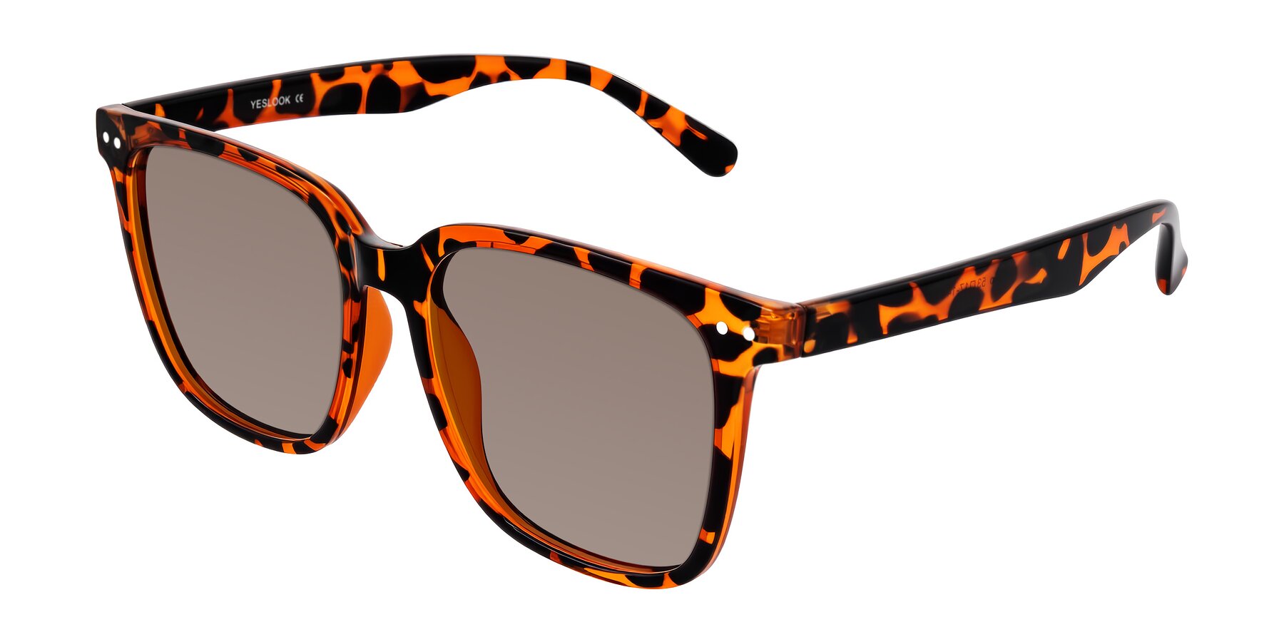 Angle of Arroyo in Tortoise with Medium Brown Tinted Lenses