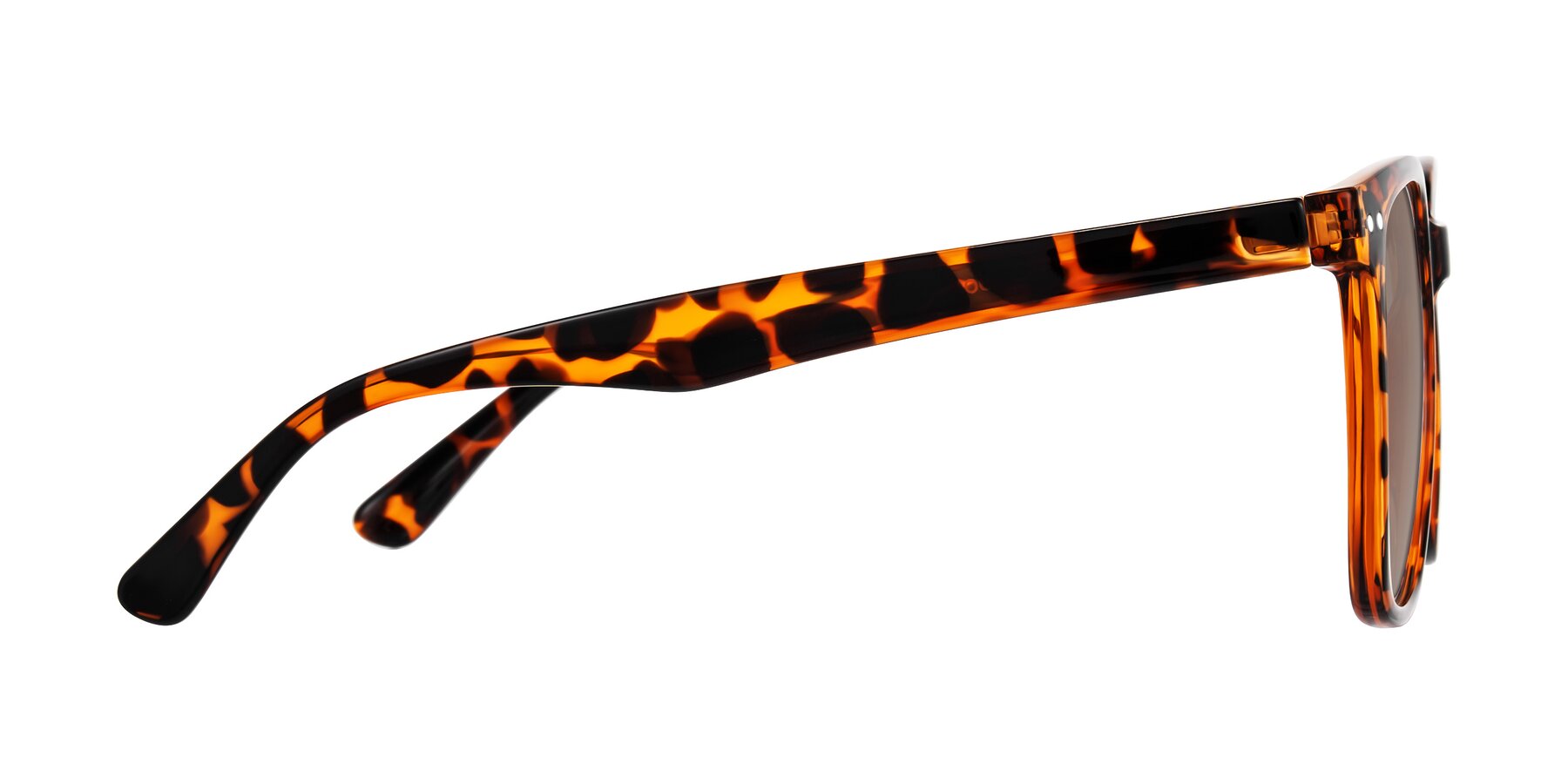 Side of Arroyo in Tortoise with Medium Brown Tinted Lenses