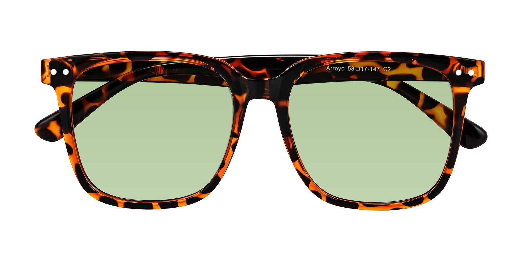 Folded Front of Arroyo in Tortoise with Medium Green Tinted Lenses