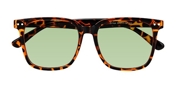 Front of Arroyo in Tortoise