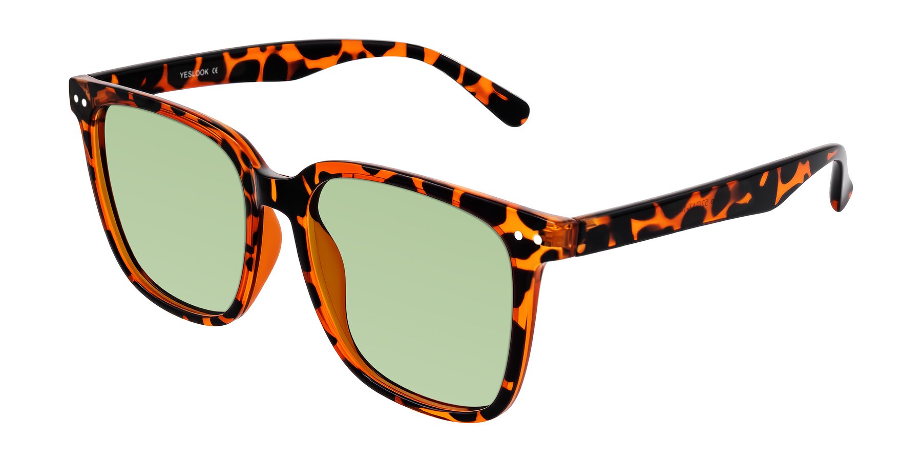 Angle of Arroyo in Tortoise with Medium Green Tinted Lenses