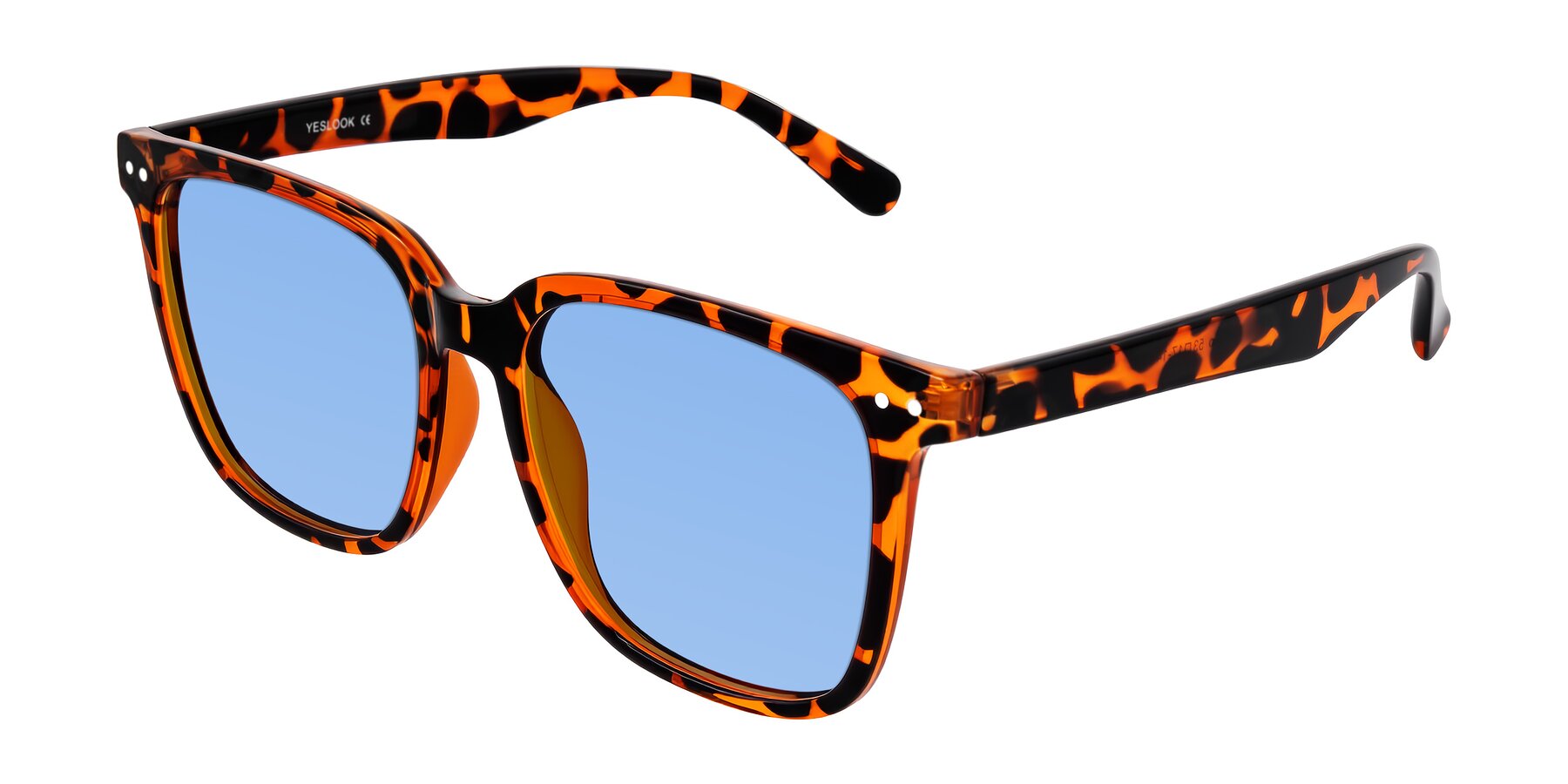Angle of Arroyo in Tortoise with Medium Blue Tinted Lenses