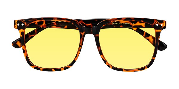 Front of Arroyo in Tortoise