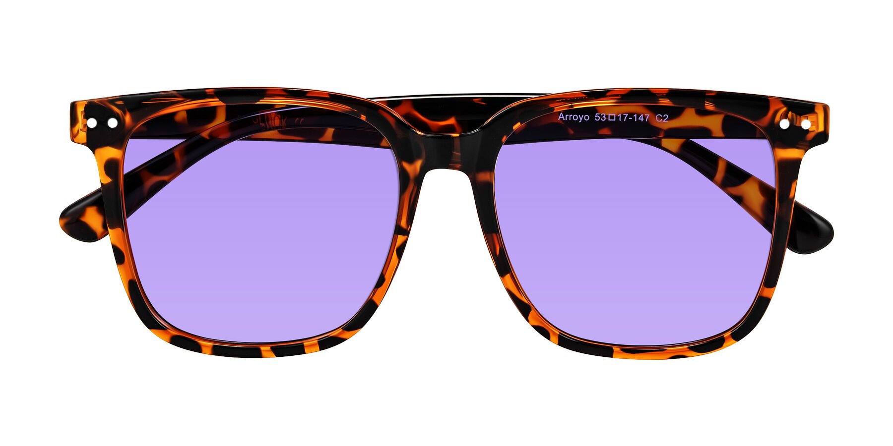 Folded Front of Arroyo in Tortoise with Medium Purple Tinted Lenses
