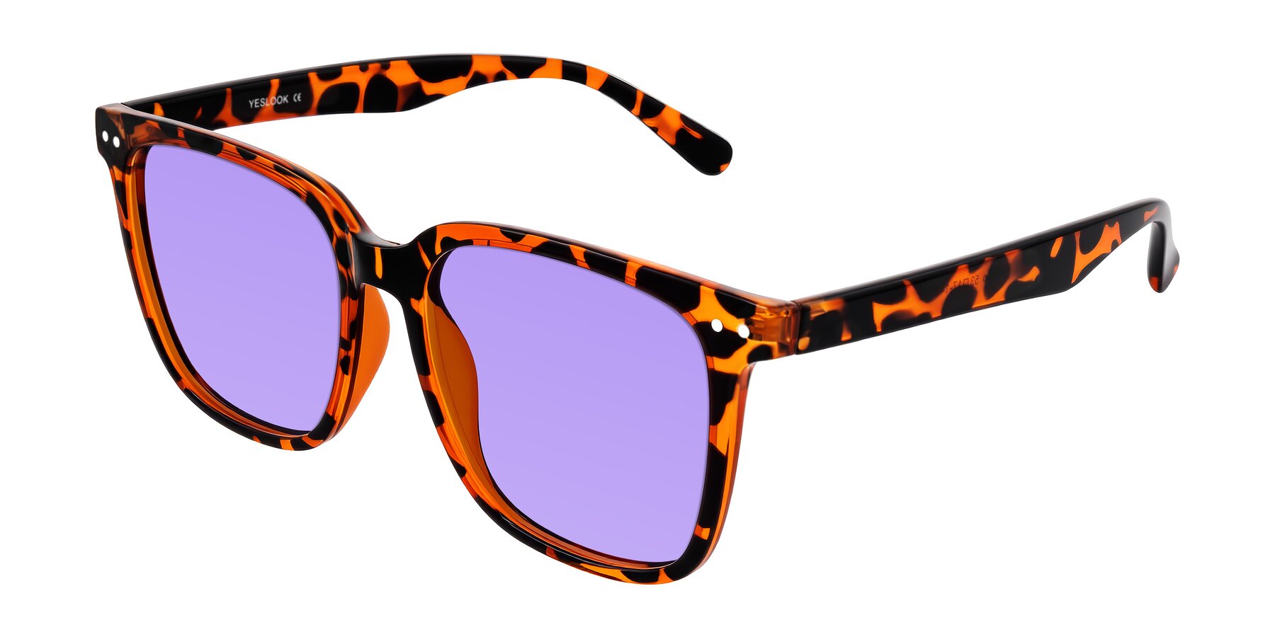 Angle of Arroyo in Tortoise with Medium Purple Tinted Lenses