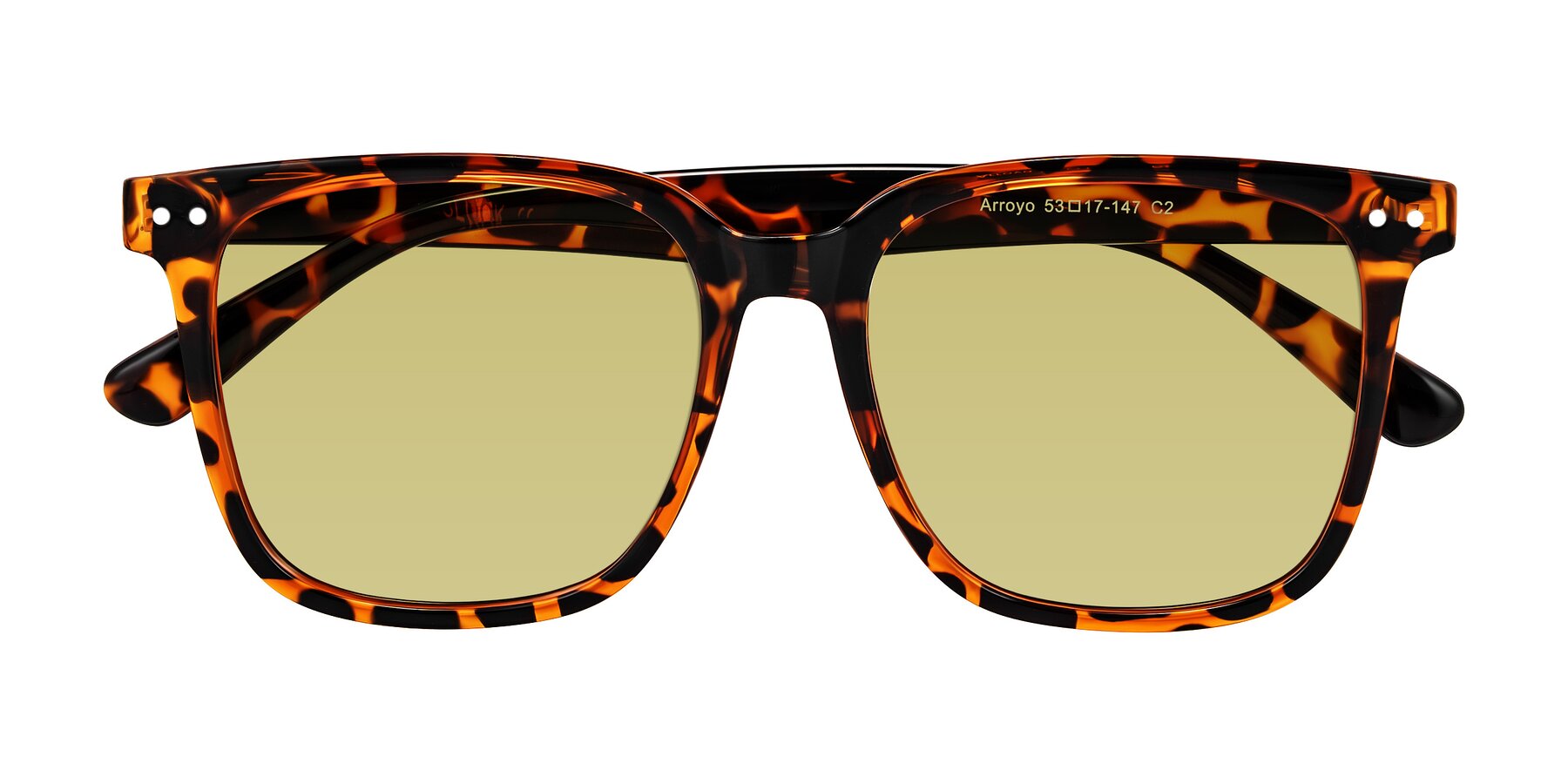 Folded Front of Arroyo in Tortoise with Medium Champagne Tinted Lenses