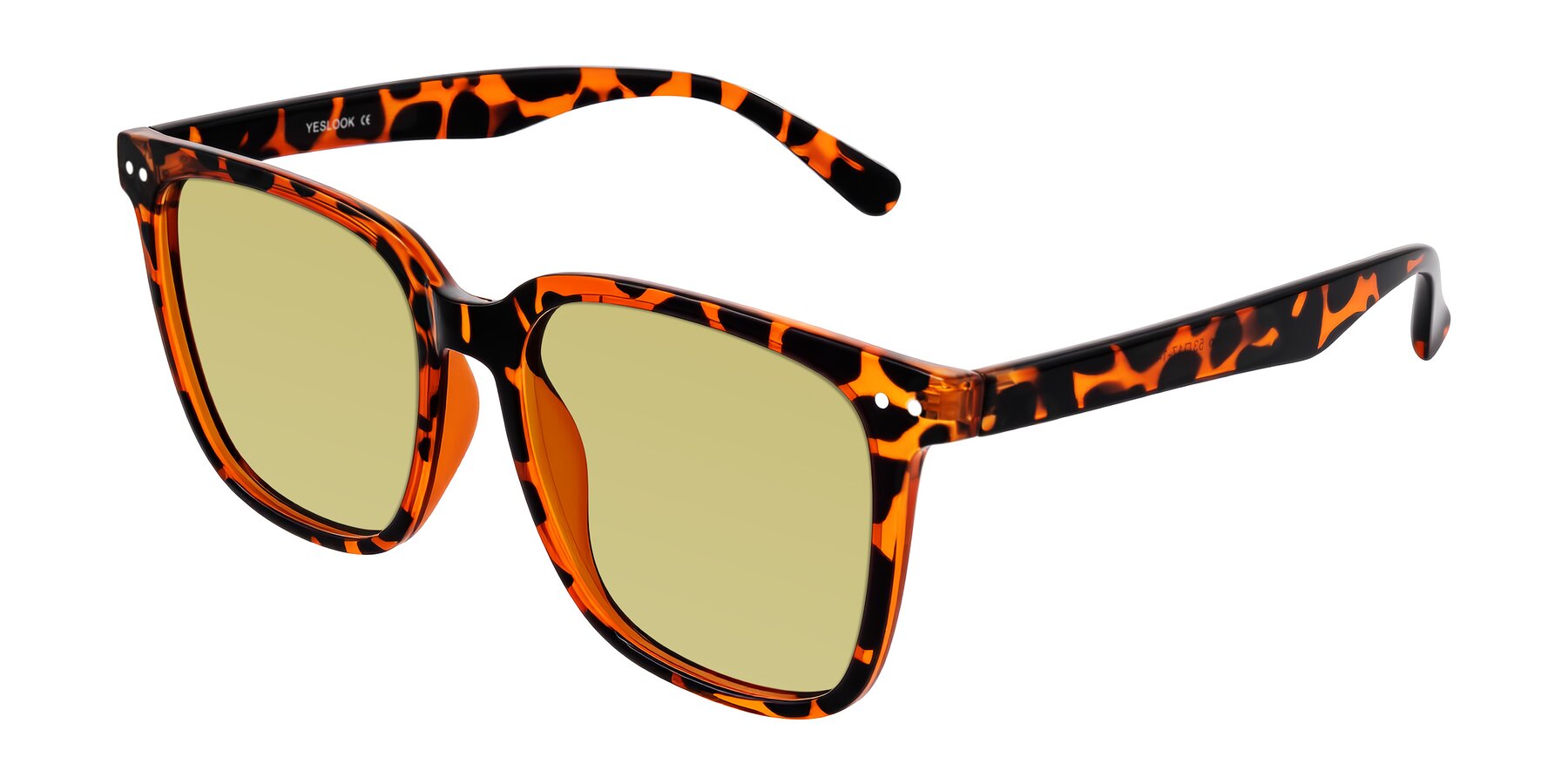 Angle of Arroyo in Tortoise with Medium Champagne Tinted Lenses