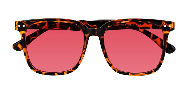 Front of Arroyo in Tortoise