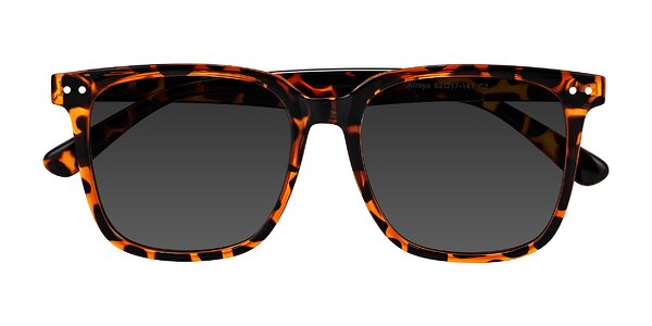 Front of Arroyo in Tortoise