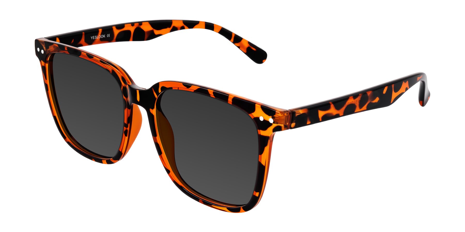 Angle of Arroyo in Tortoise with Gray Tinted Lenses