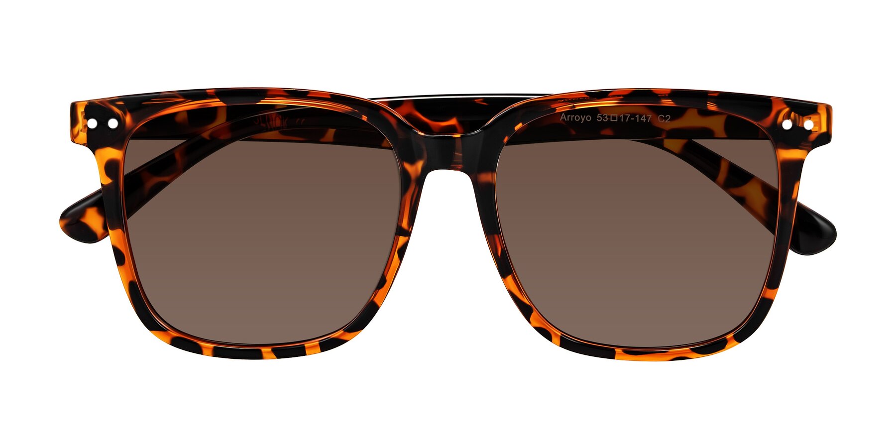 Folded Front of Arroyo in Tortoise with Brown Tinted Lenses