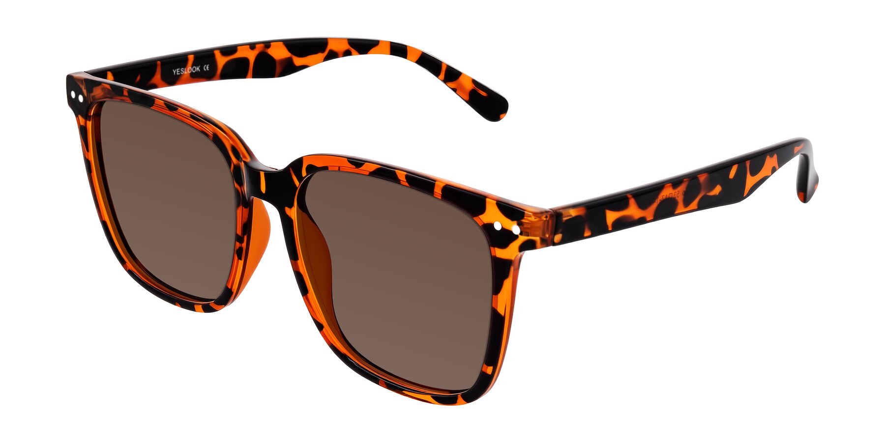 Angle of Arroyo in Tortoise with Brown Tinted Lenses