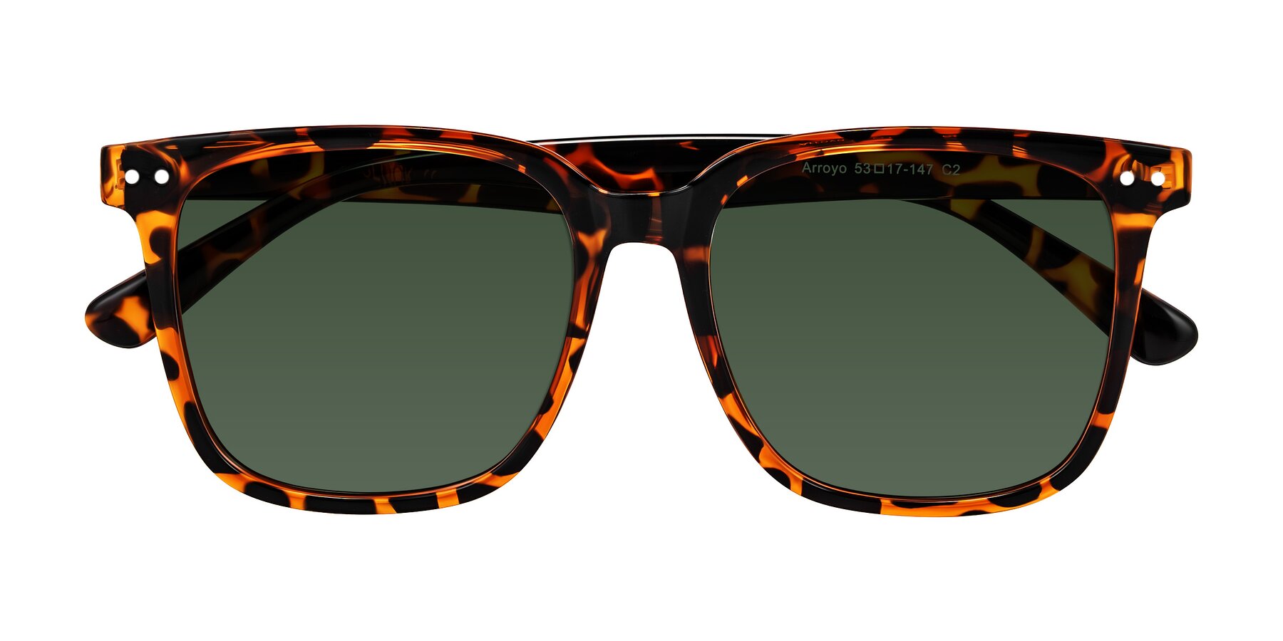 Folded Front of Arroyo in Tortoise with Green Tinted Lenses