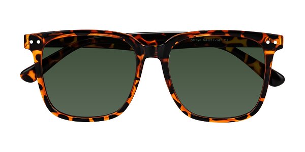 Front of Arroyo in Tortoise