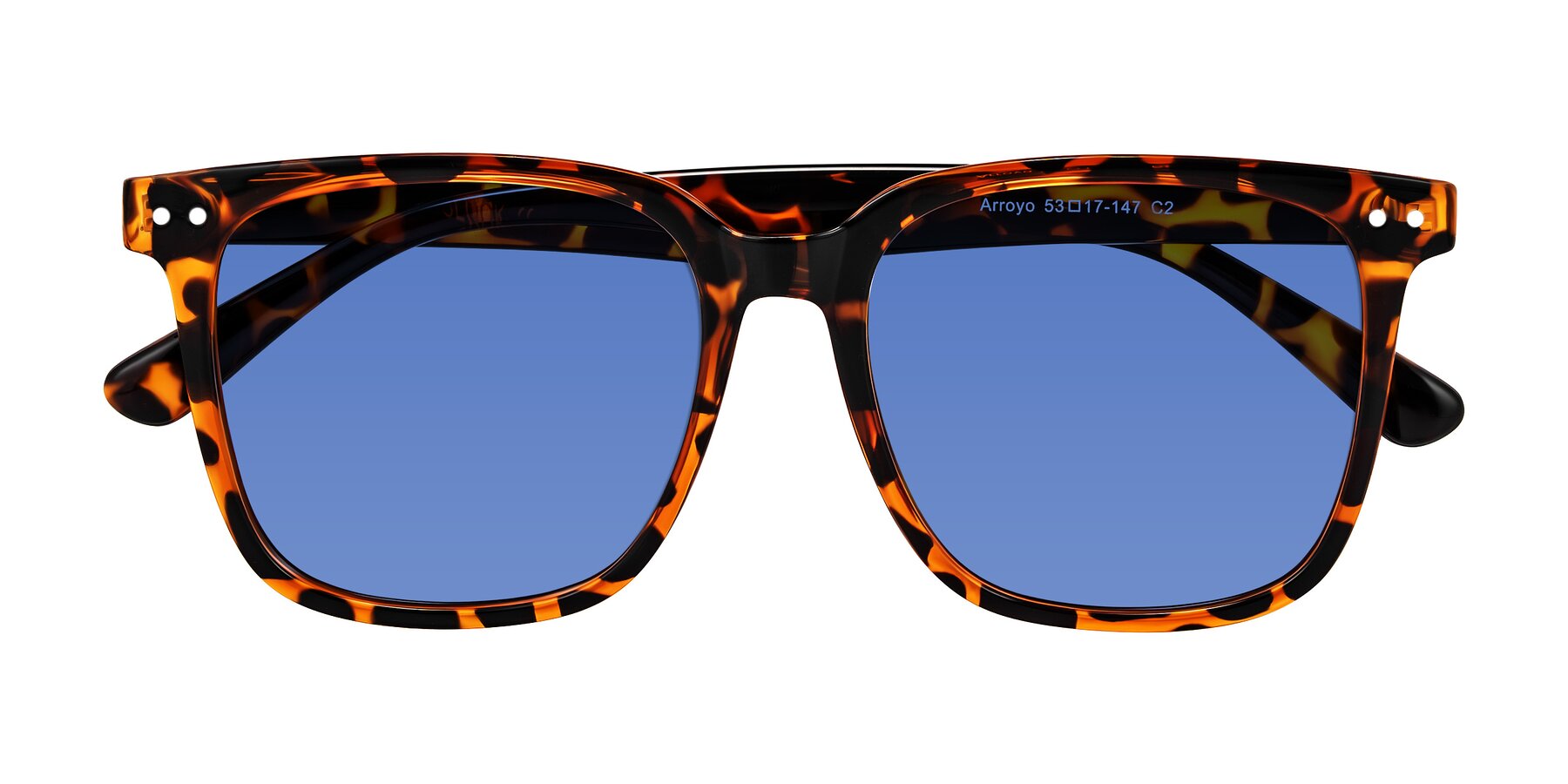 Folded Front of Arroyo in Tortoise with Blue Tinted Lenses