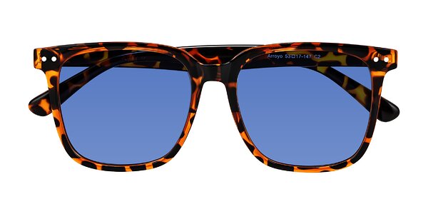 Front of Arroyo in Tortoise