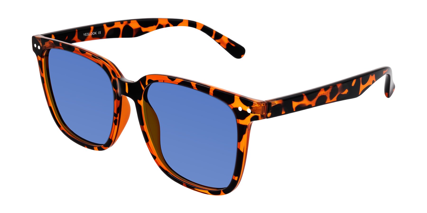 Angle of Arroyo in Tortoise with Blue Tinted Lenses