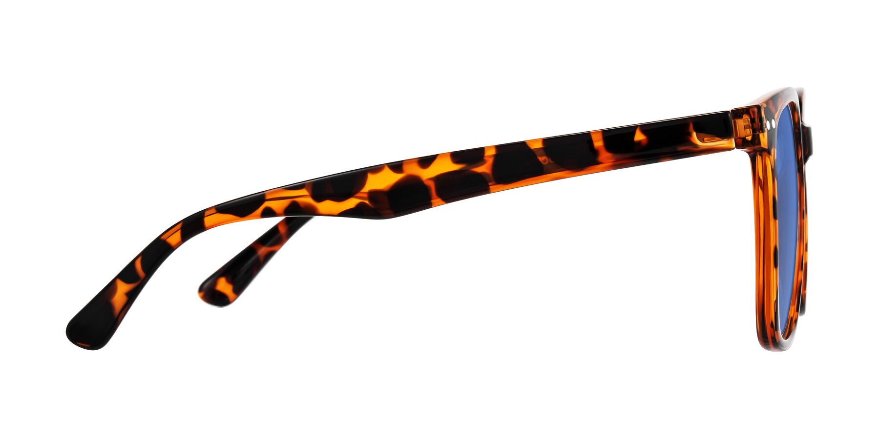 Side of Arroyo in Tortoise with Blue Tinted Lenses