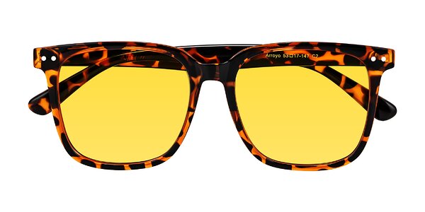 Front of Arroyo in Tortoise