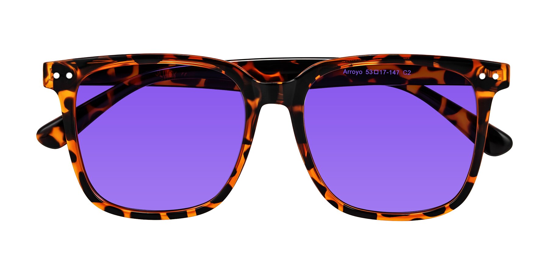 Folded Front of Arroyo in Tortoise with Purple Tinted Lenses