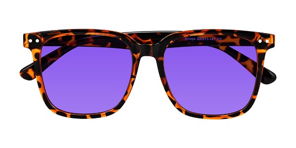 Front of Arroyo in Tortoise