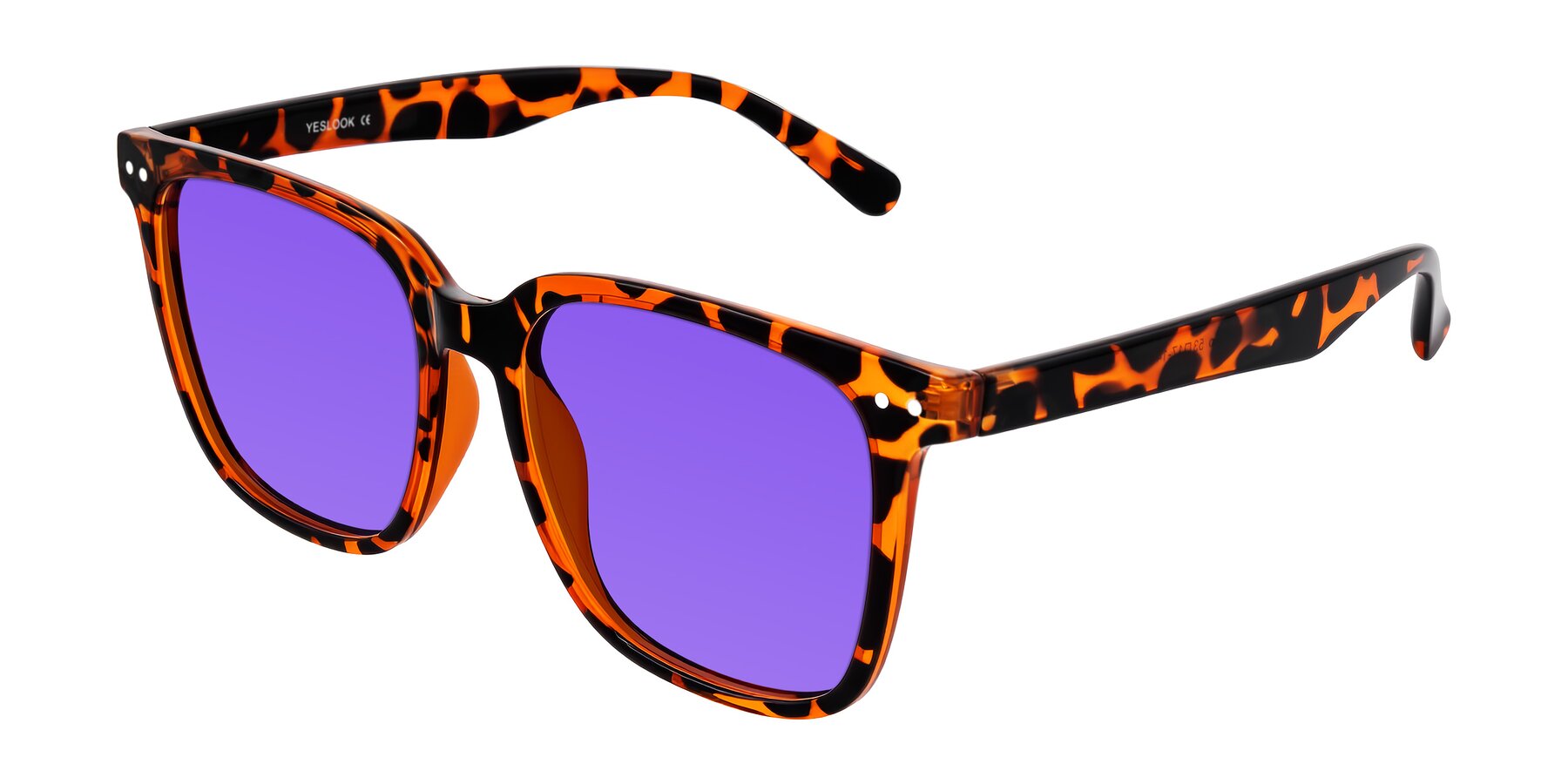 Angle of Arroyo in Tortoise with Purple Tinted Lenses