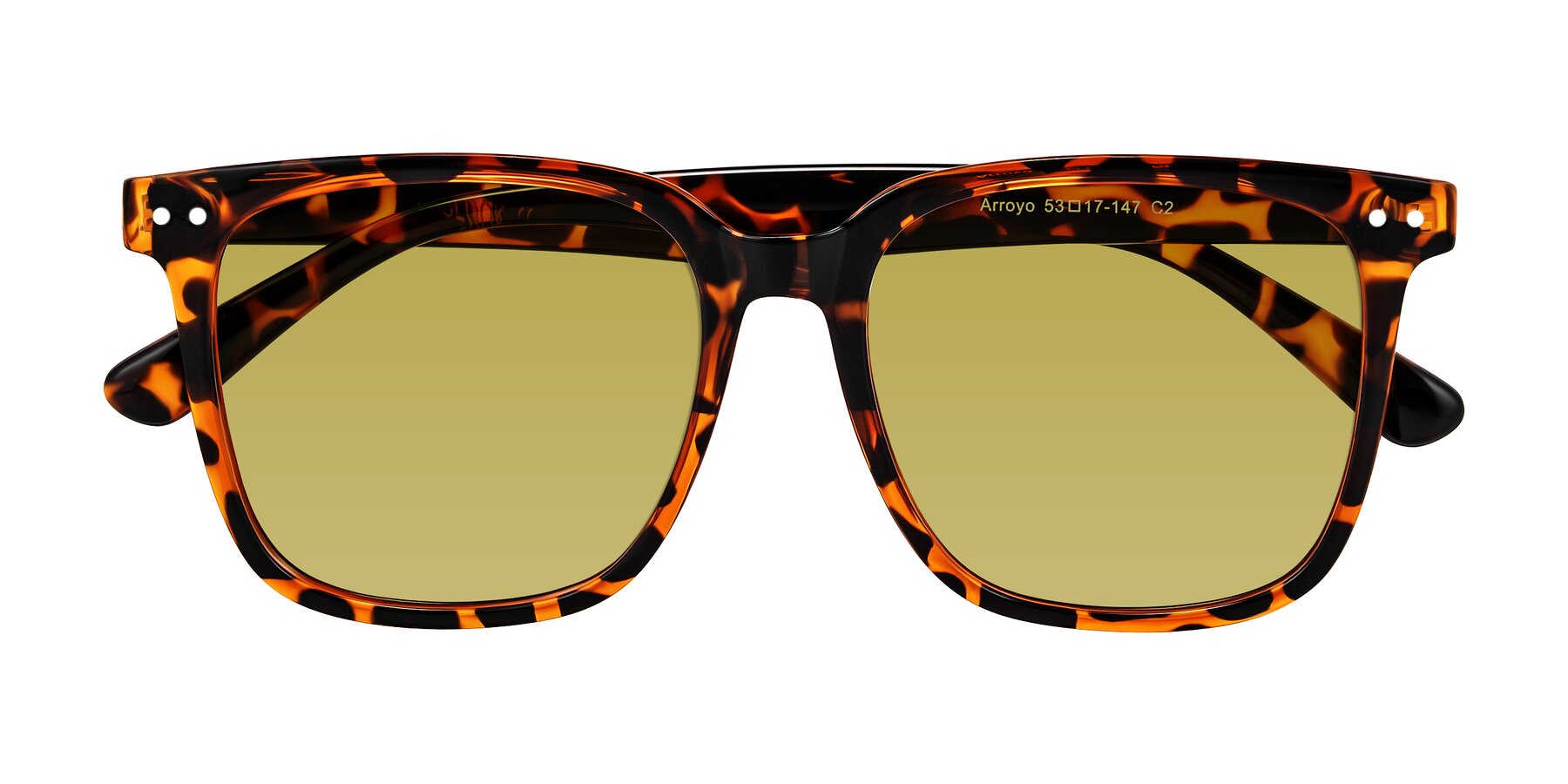 Folded Front of Arroyo in Tortoise with Champagne Tinted Lenses