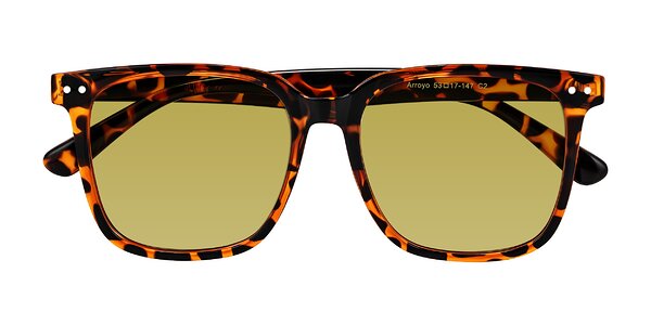 Front of Arroyo in Tortoise