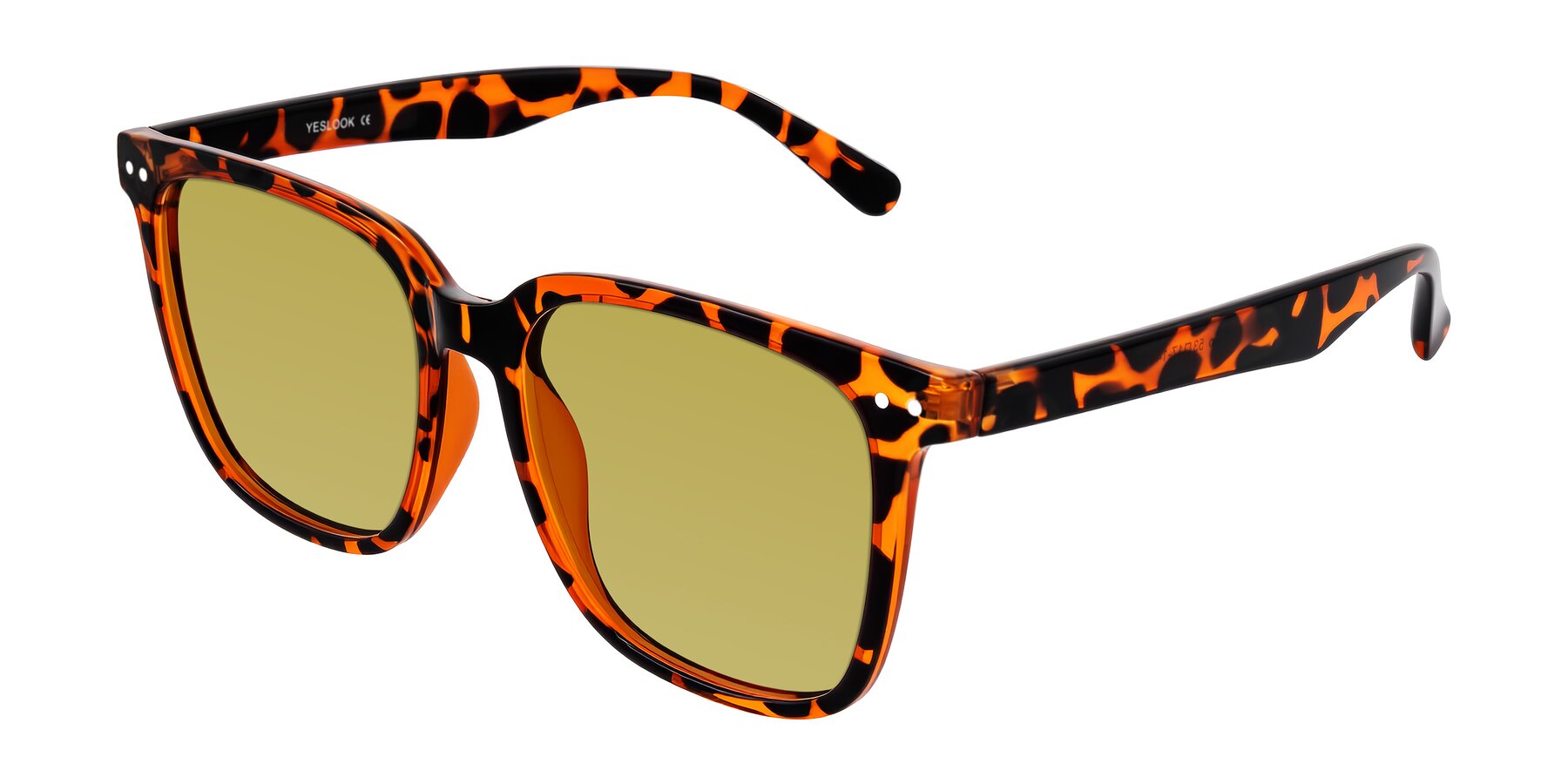 Angle of Arroyo in Tortoise with Champagne Tinted Lenses