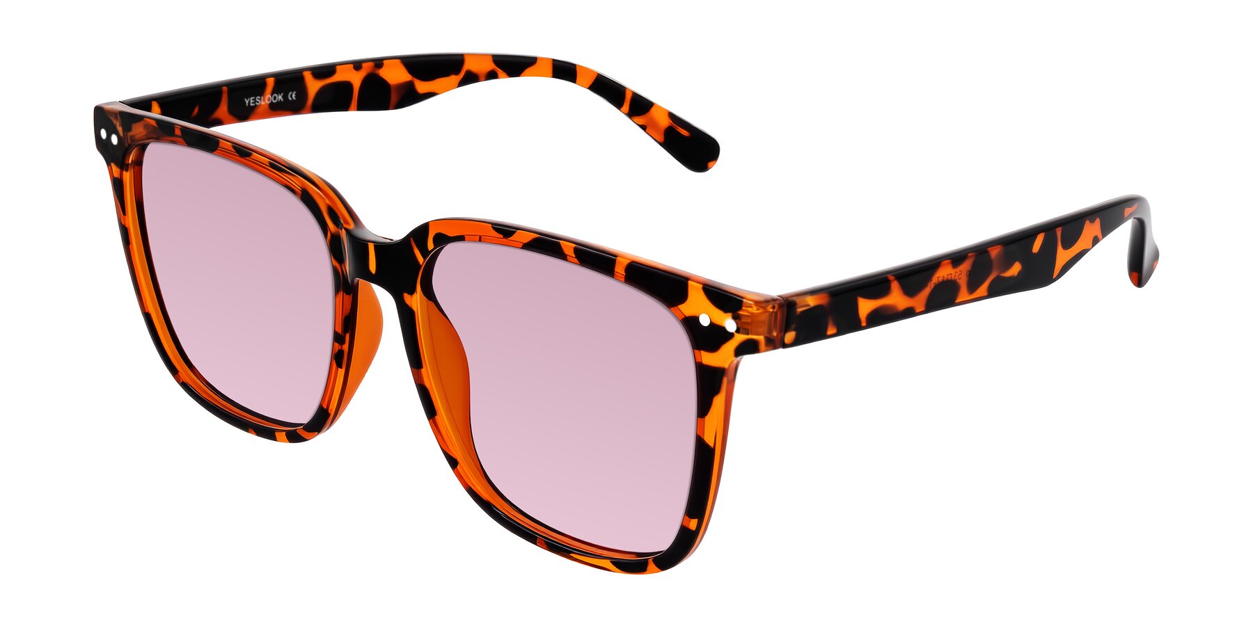 Angle of Arroyo in Tortoise with Light Wine Tinted Lenses