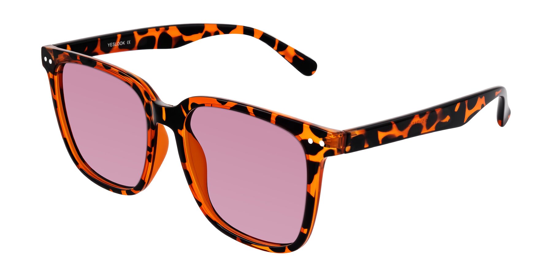 Angle of Arroyo in Tortoise with Medium Wine Tinted Lenses