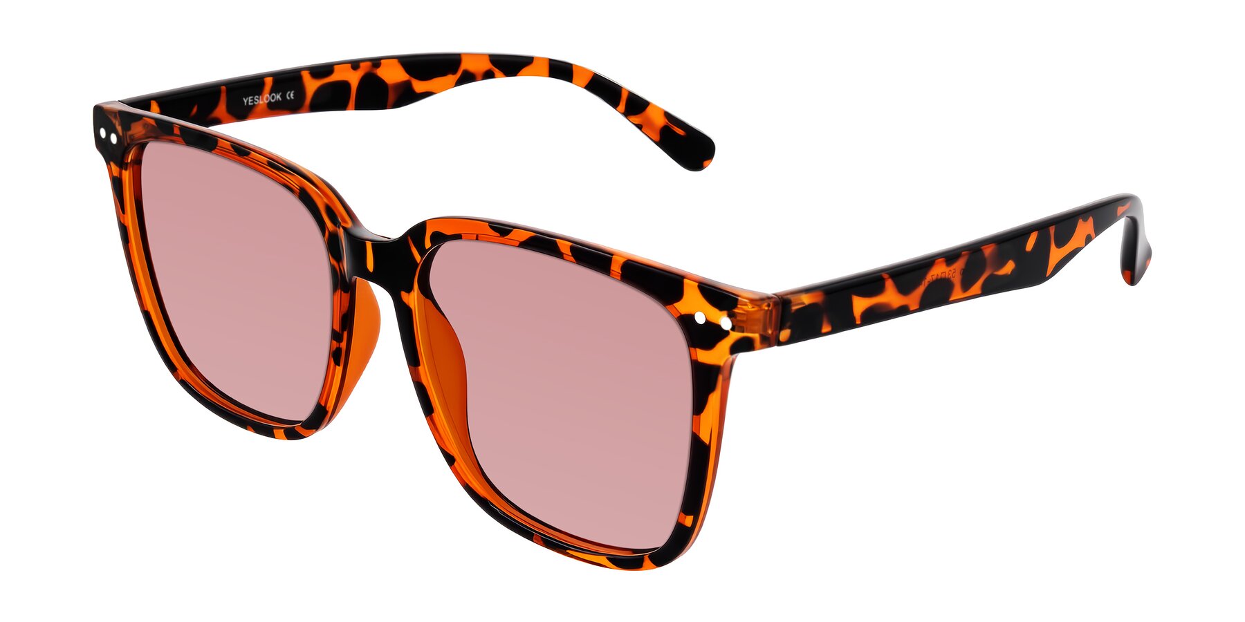 Angle of Arroyo in Tortoise with Medium Garnet Tinted Lenses