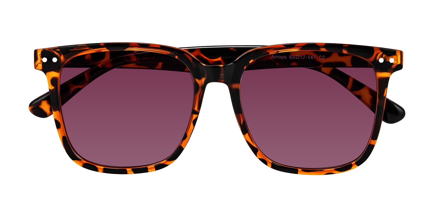 Folded Front of Arroyo in Tortoise with Wine Tinted Lenses