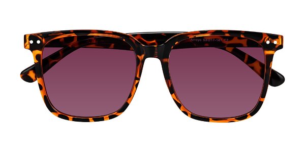 Front of Arroyo in Tortoise