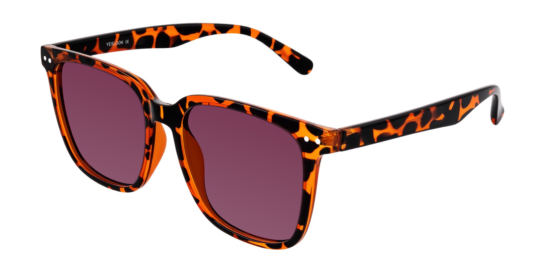 Angle of Arroyo in Tortoise with Wine Tinted Lenses