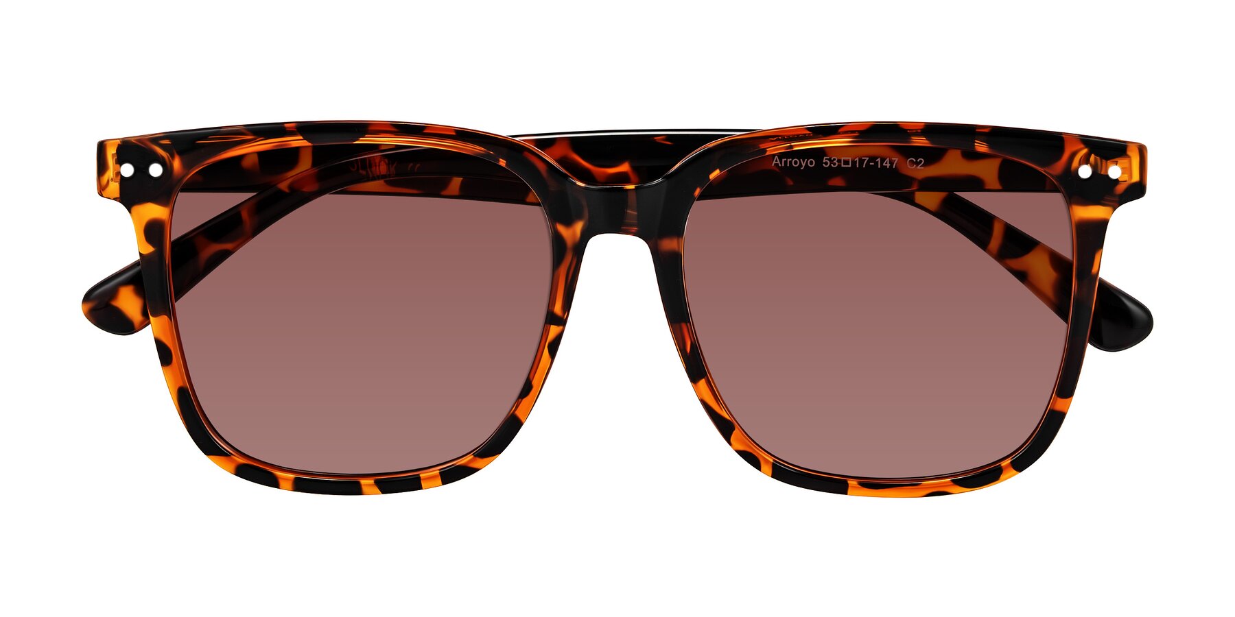 Folded Front of Arroyo in Tortoise with Garnet Tinted Lenses