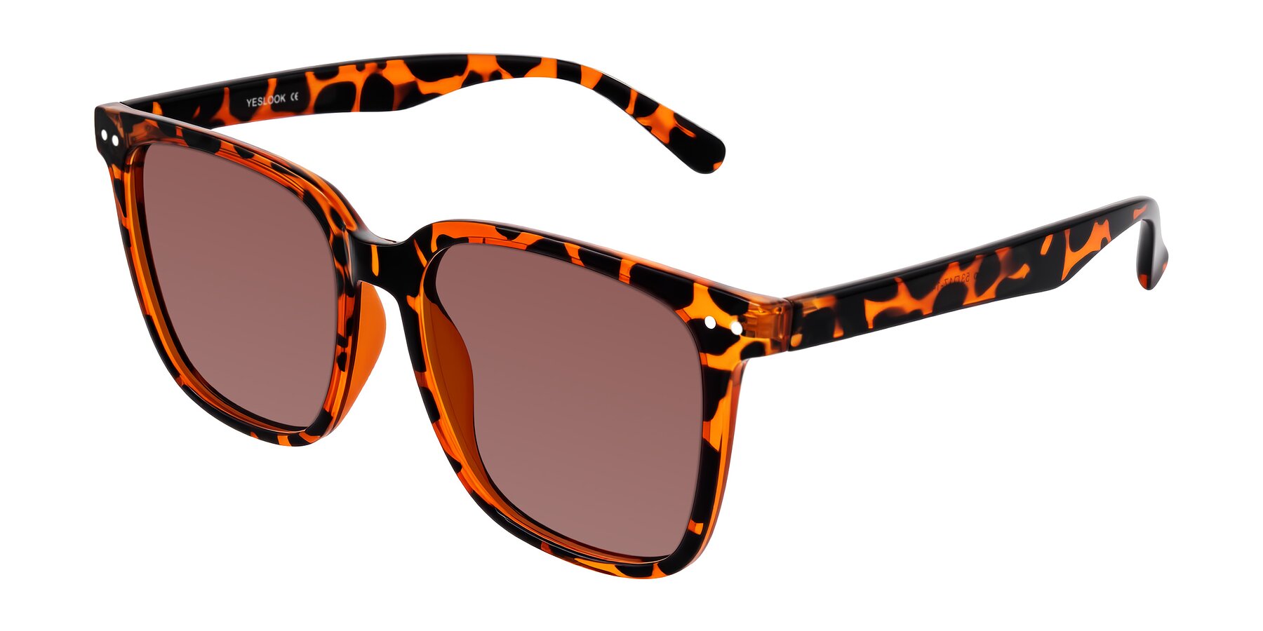 Angle of Arroyo in Tortoise with Garnet Tinted Lenses