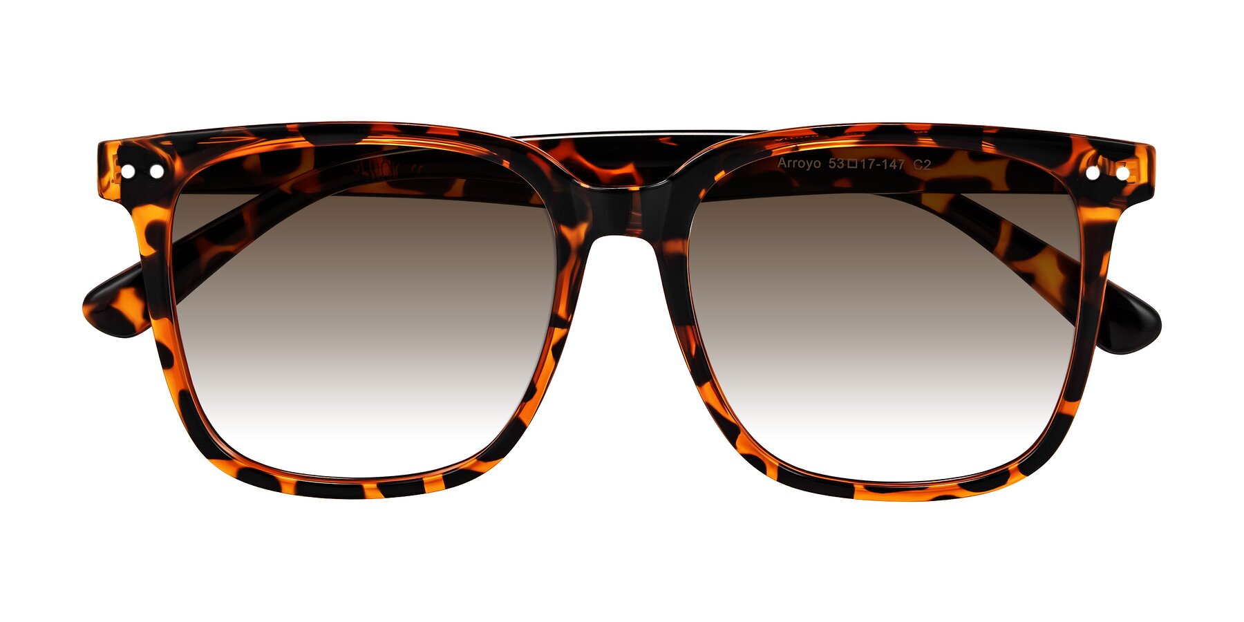 Folded Front of Arroyo in Tortoise with Brown Gradient Lenses